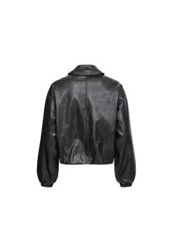 Nirvana Bomber